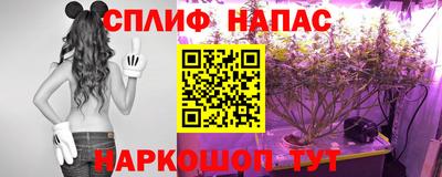 метадон Беслан