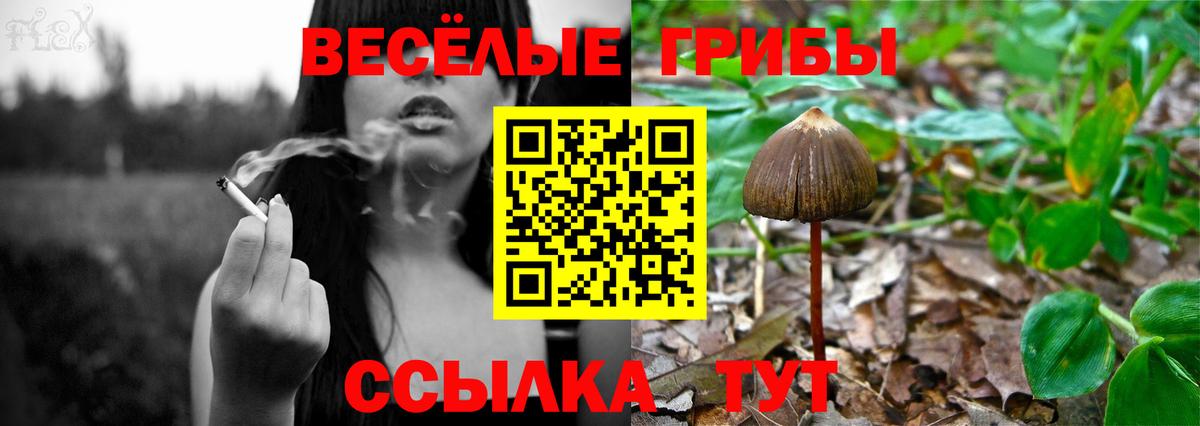 Галлюциногенные грибы мухоморы Камень-на-Оби