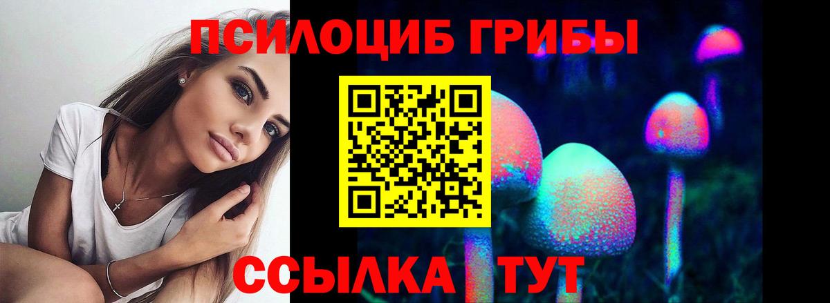 Камень-на-Оби  Псилоцибиновые грибы Psilocybine cubensis  Вход с VPN  Галлюциногенные грибы прущие грибы 